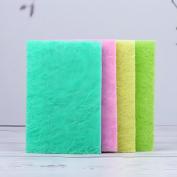 Scouring Pad - 5 Pieces